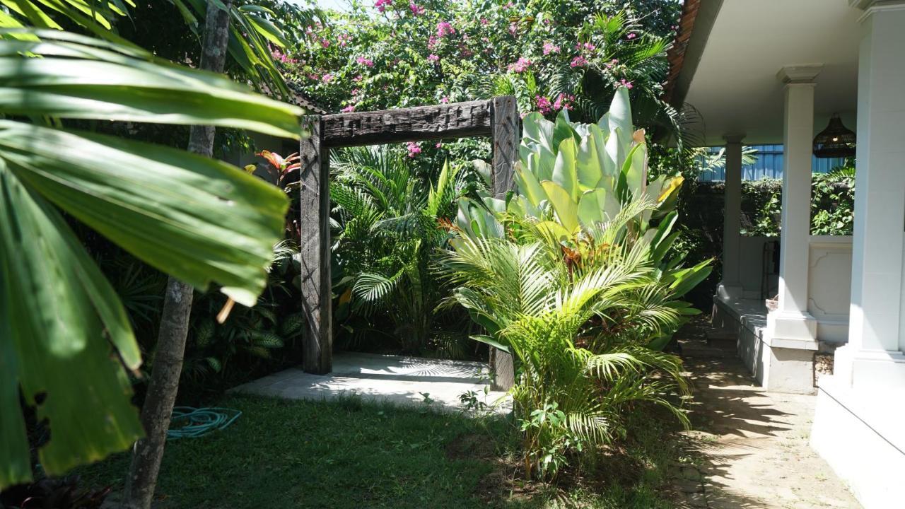 Endless Summer Surf Camp Kuta Kuta  Exterior photo